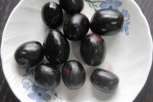 Madan (Syzygium cumini): Jambul, the Fruit With 125 Years of Diabetes Research (Syzygium cumini) - Sri Lankan medicinal plant